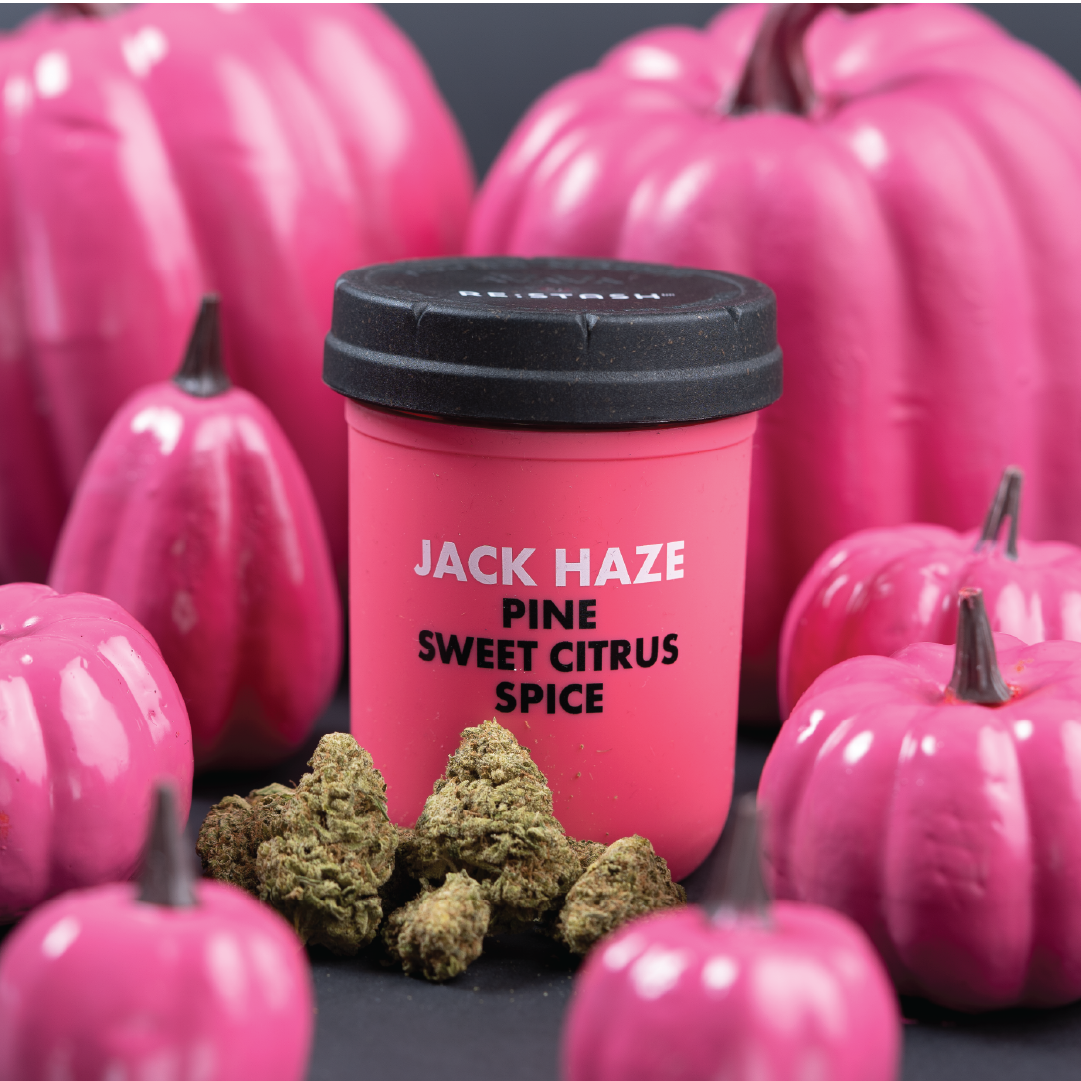 5 Ways to Celebrate “Halloweed”