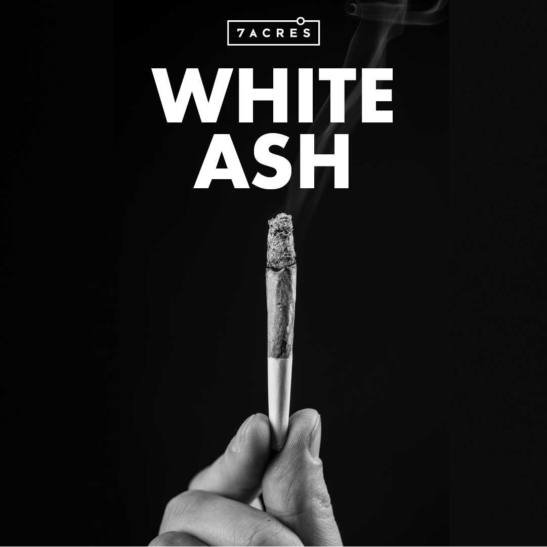 White Ash: One Indicator of Quality