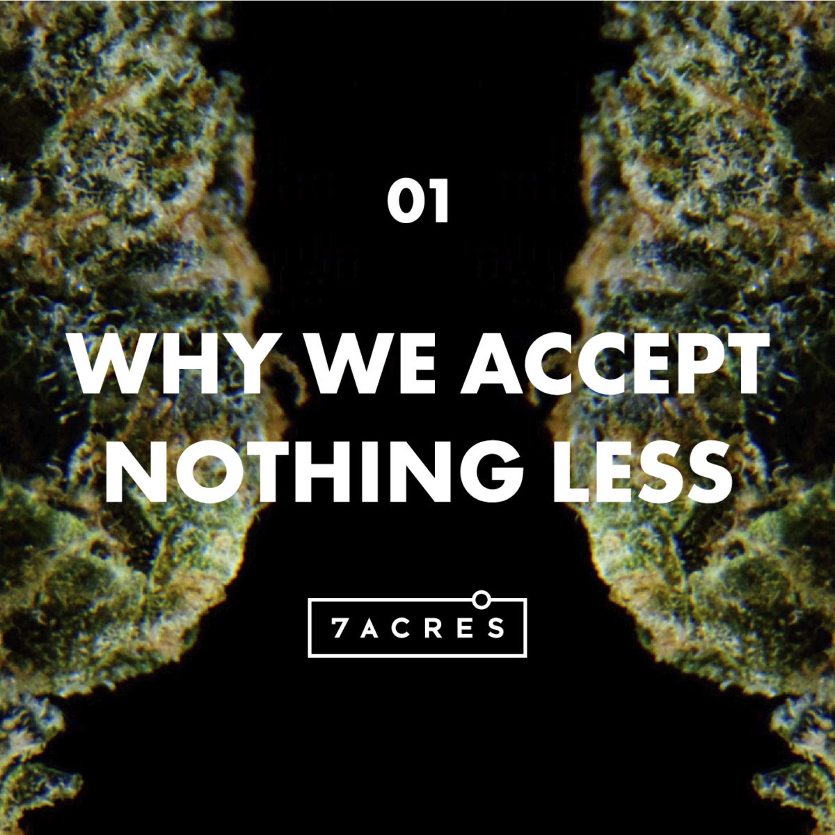Episode 1: Why We Accept Nothing Less
