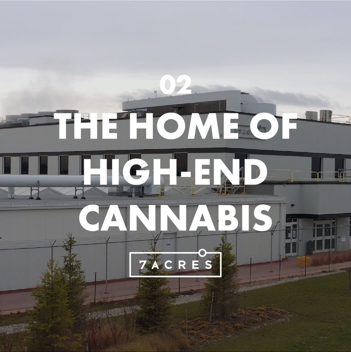 Episode 2: The Home of High-End Cannabis