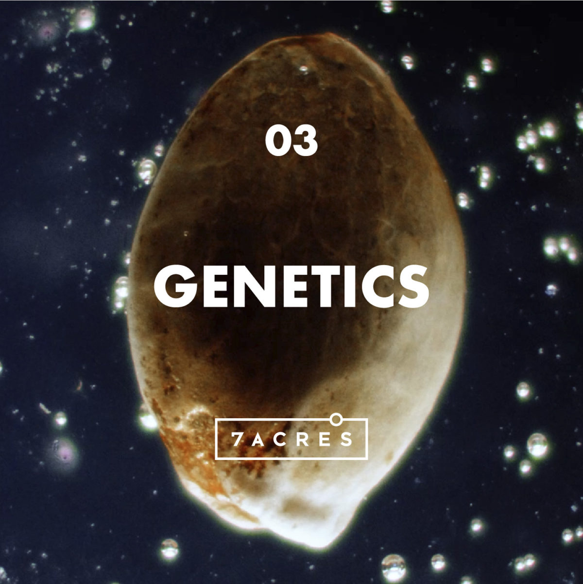 Episode 3: Genetics