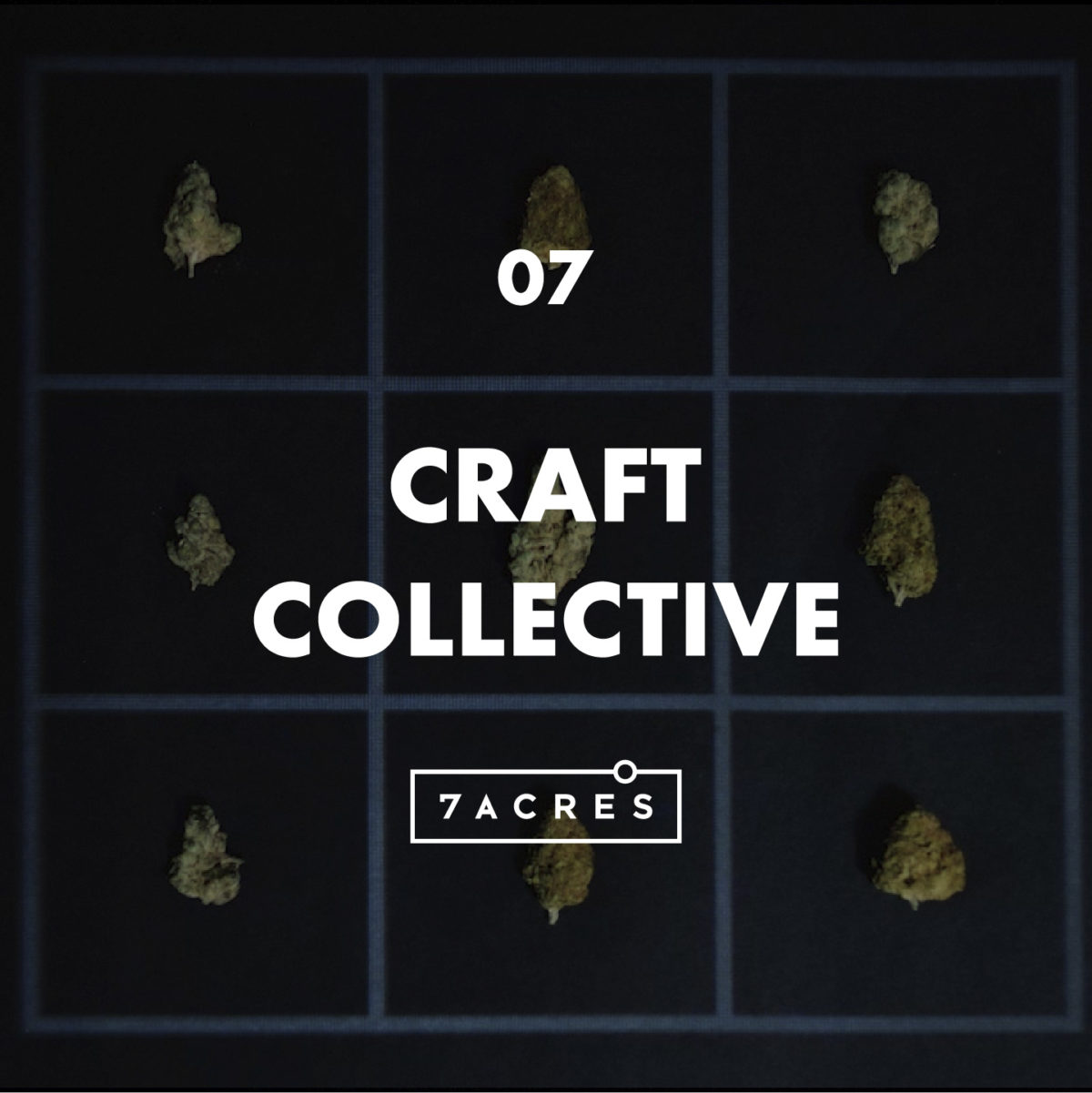 Episode 7: Craft Collective