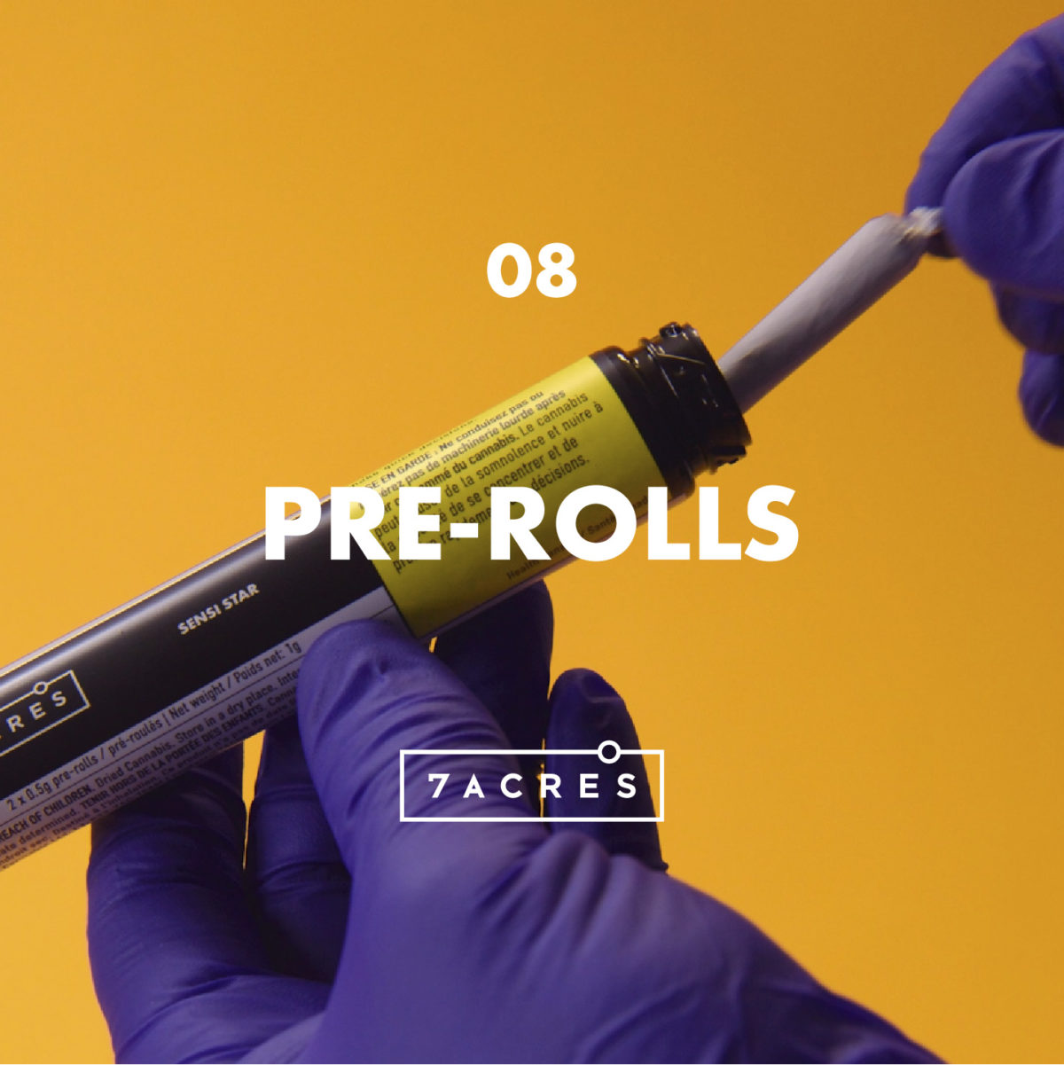 Episode 8: Pre-Rolls