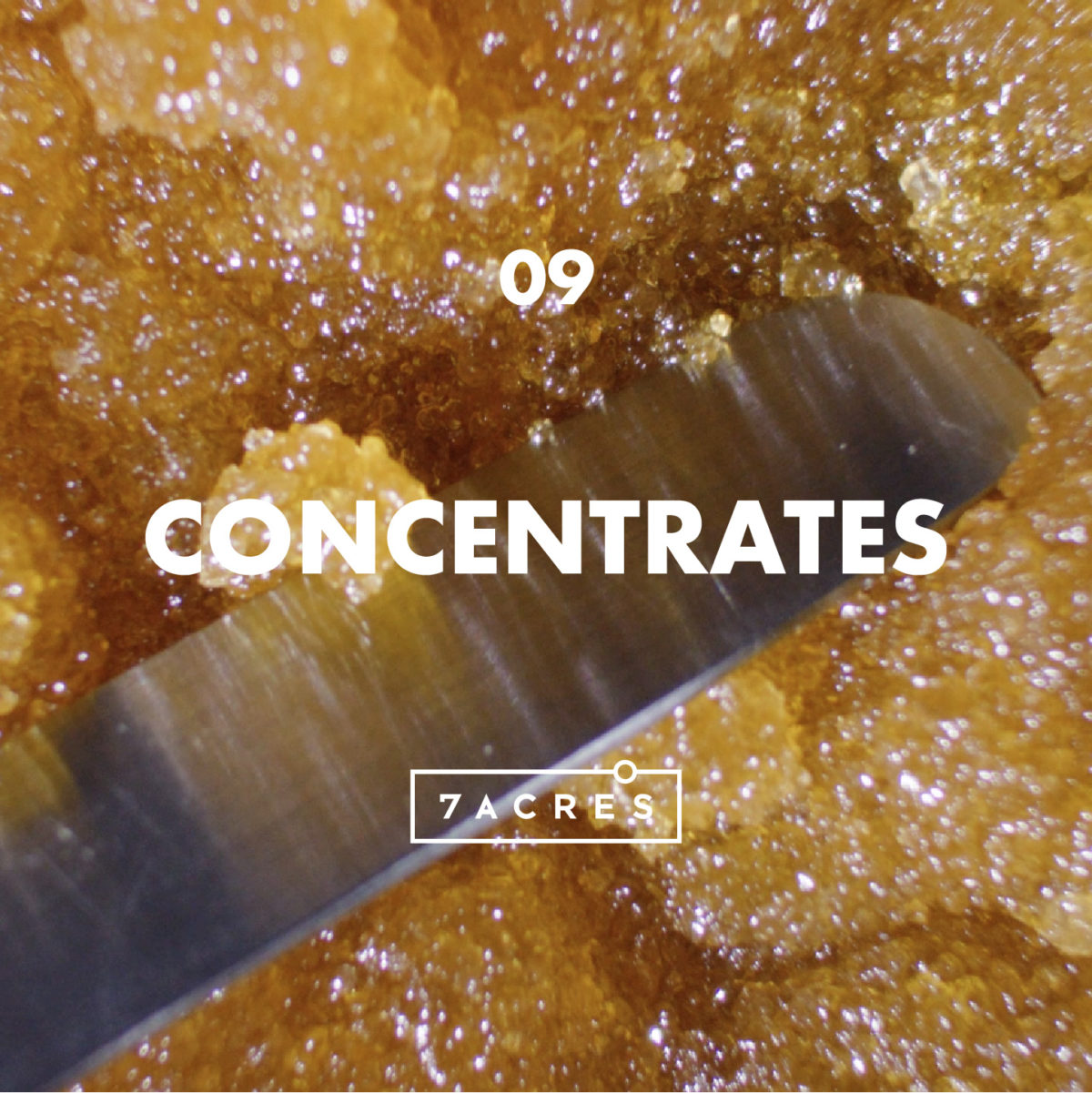 Episode 9: Concentrates